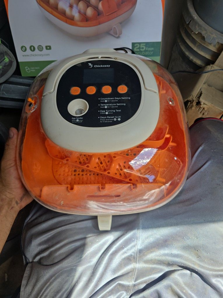 Egg Incubator