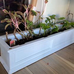 48" hanging rail planter with plants