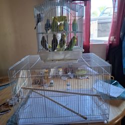 BEAUTIFUL CAGES FOR COCKTAILS AND PERIQUITS USED LIKE NEW 