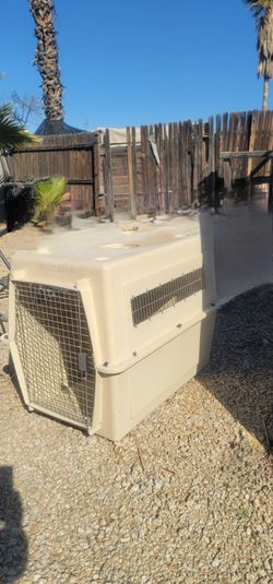 Pet Large Kennel *