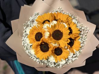 Sunflower 🌻