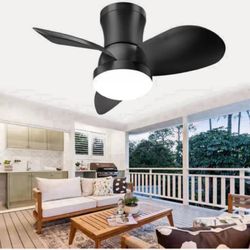 Brand New 22 Inch Ceiling Fan with Lights and Remote