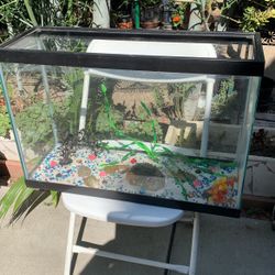 Fish Tank With Everything  Size 8 X 24 &  16 Inch High 