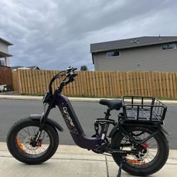Fat Tire E-bike W/ Low Miles