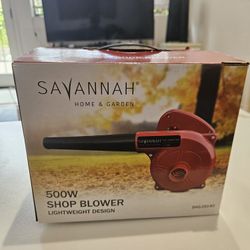 Savanna Blower 500W