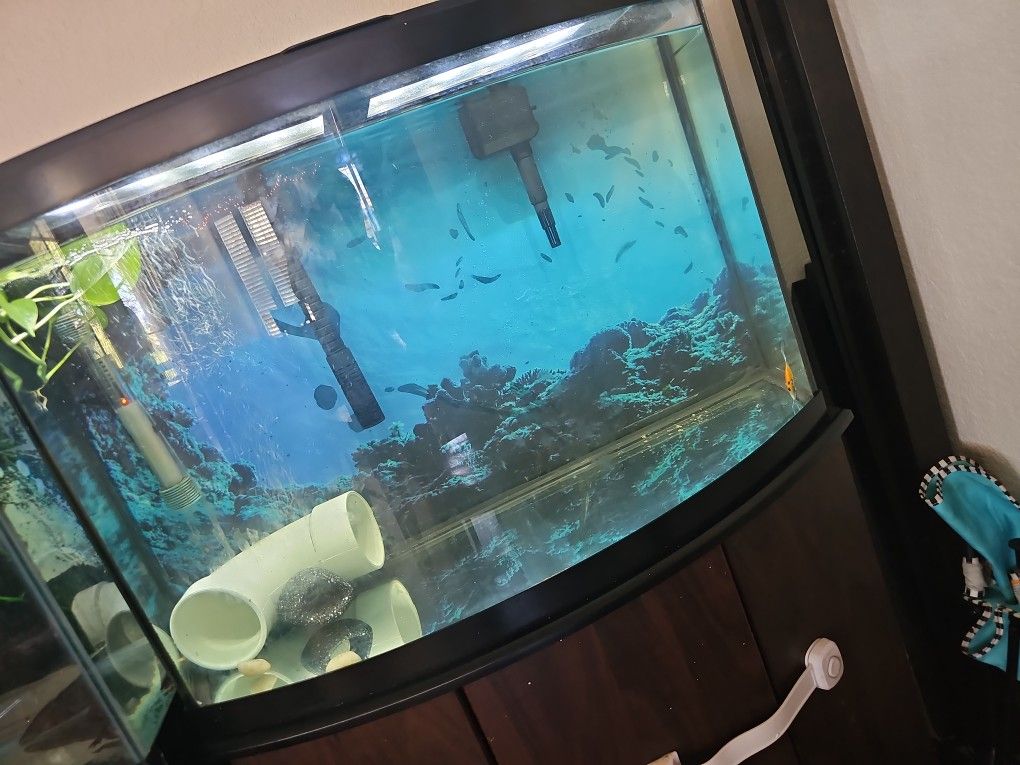 35 Gal Fish Tank 