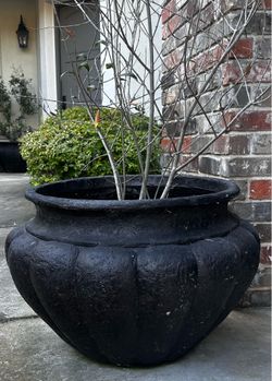 Free Large Pots