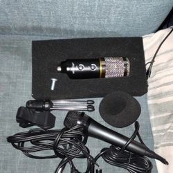 2 Microphones 