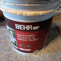 Bear masonry stucco and brick paint White