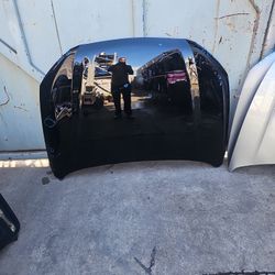 Honda Hrv Hr-v Hood 2021 2022 2023 2024 2025 2026