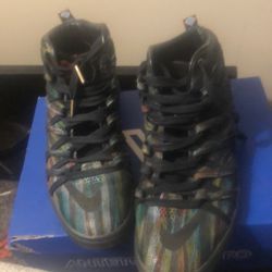 Kd7 Lifestyle Betta