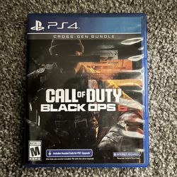 Call of duty black ops 6 PS4