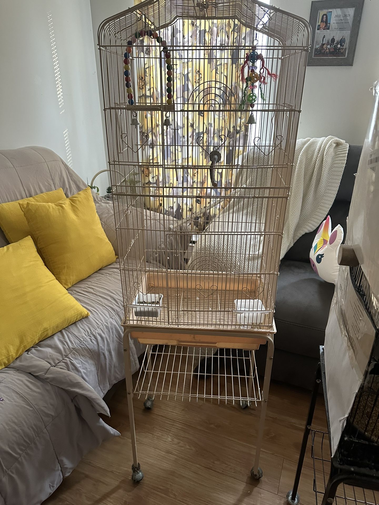 Bird Cage