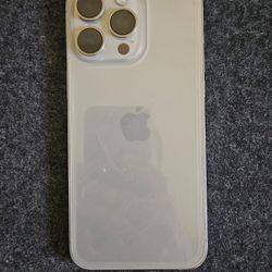 iPhone 15 Pro Max 256 GB (unlocked)