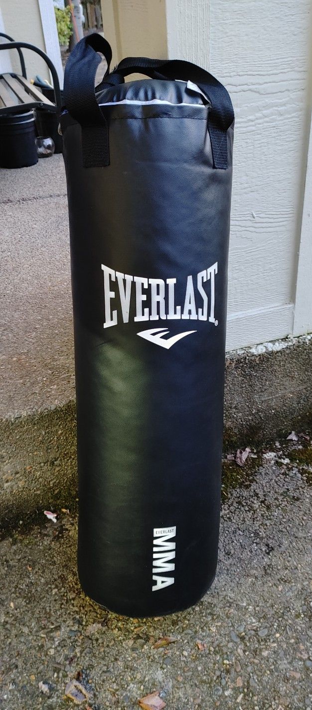 Everlast Heavy Punching Bag $40