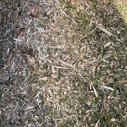 Free Mulch