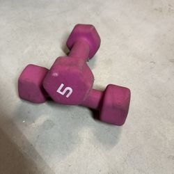 Dumbbells Weigh 