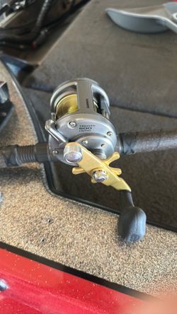 Fishing rod with reel