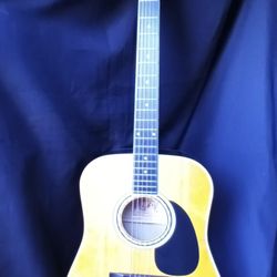 Esteban Acoustic Electric Guitar 