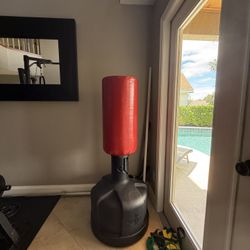 Punching Bag(Century)