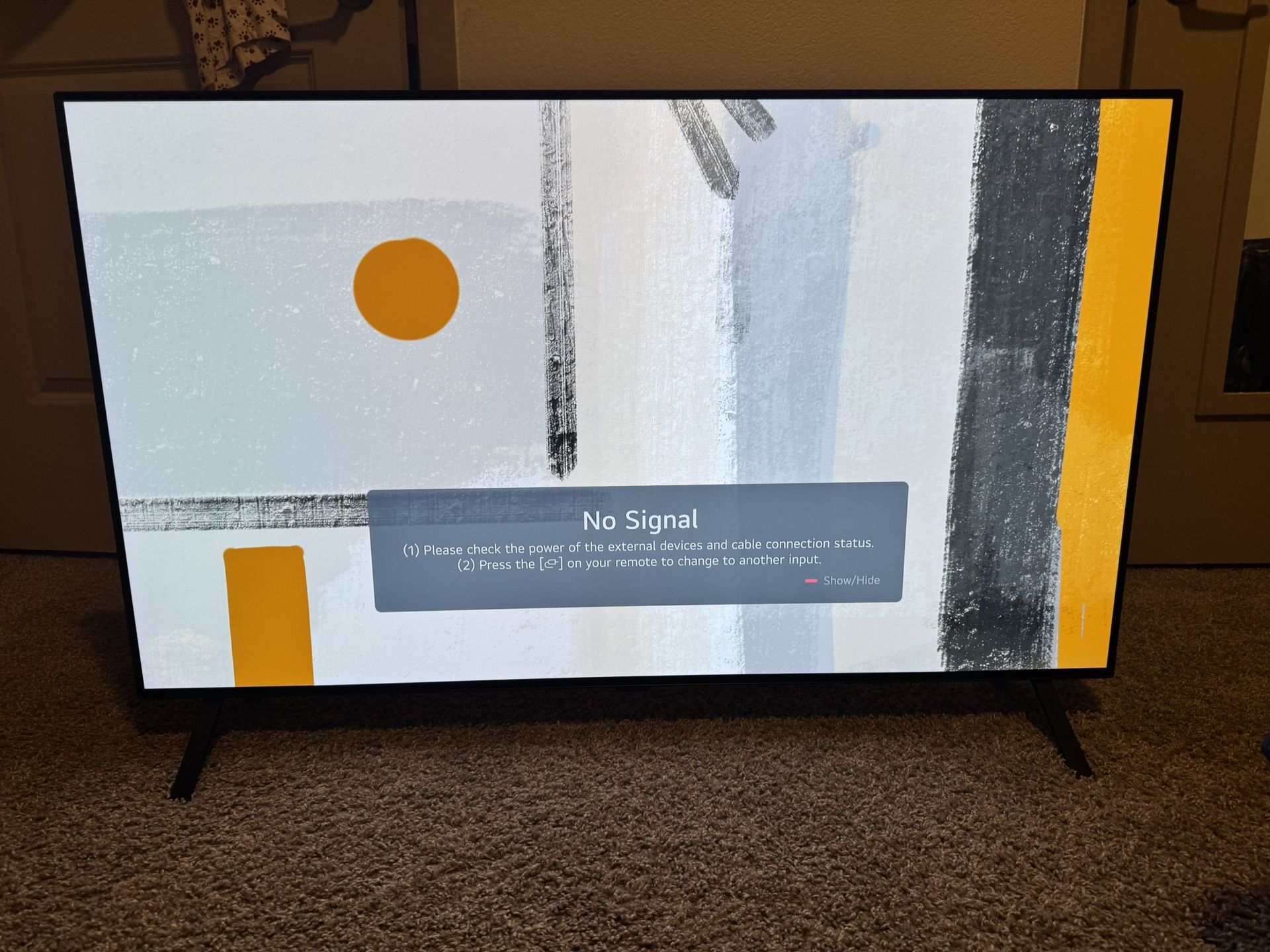 48 Inch LG Class B4 Series OLED TV