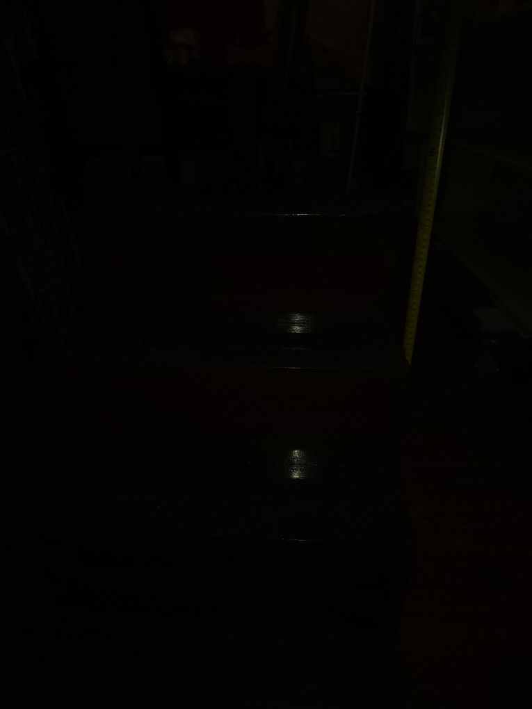 Doggy Stairs