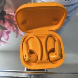 Beats-Powerbeats pro 2