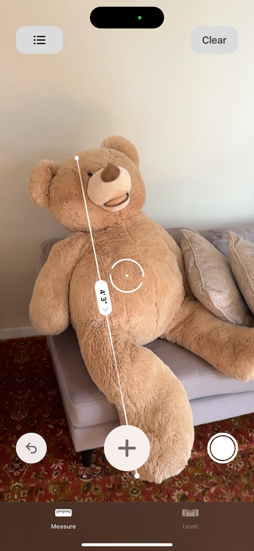 Giant Bear Like New
