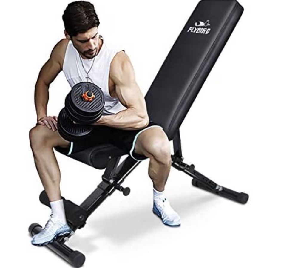 Flybird Dumbell Bench 