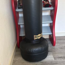 Pro Last Free Standing Punching Bag