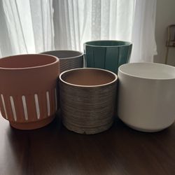 FREE Set Of Assorted Planting Pots