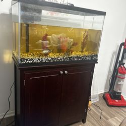 20 Gallon Fish Tank with shelf stand