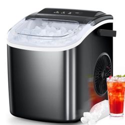Ice maker 