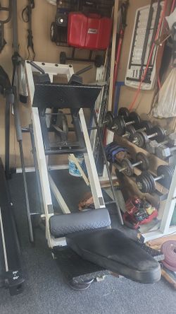 Bodysolid Pro-line Club Leg Press & Squat