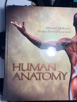 Human anatomy