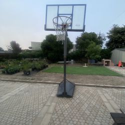 Lifetime basketball Hoop