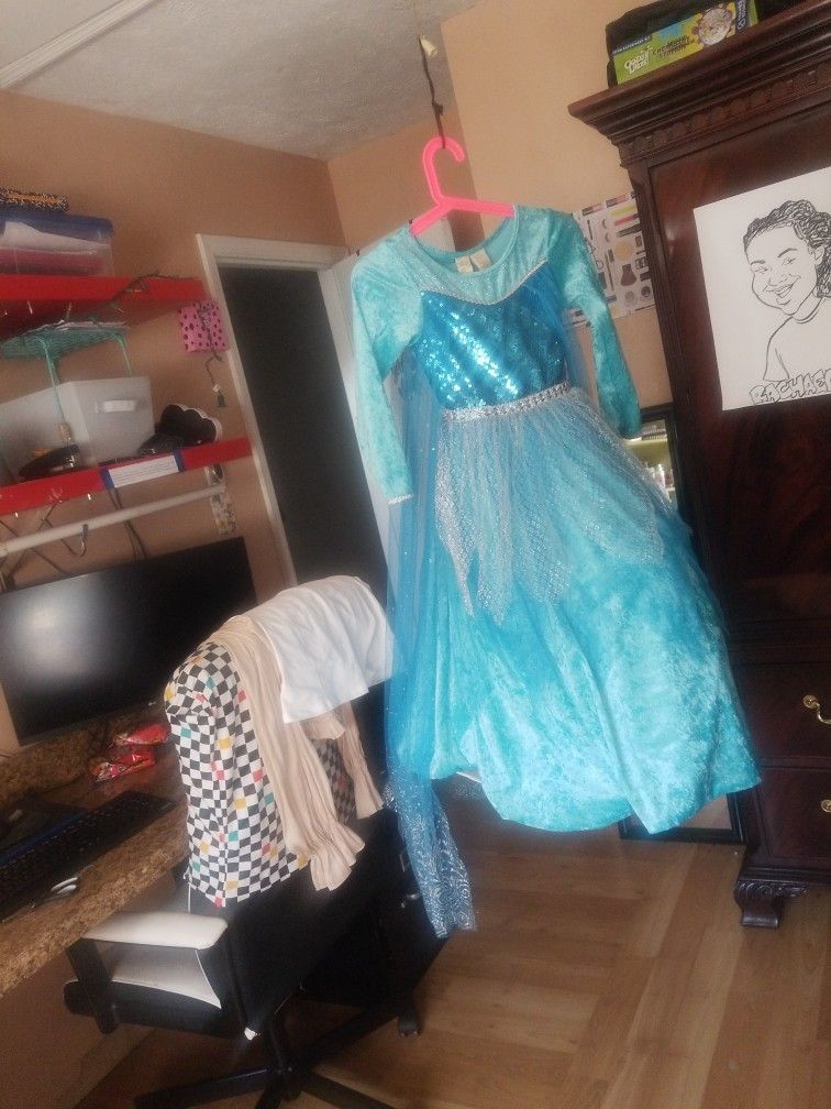 Elsa Costume Dress