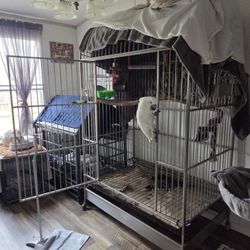 Large Cage For Large Birds Stainless Steel 