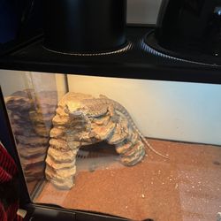 Pet Supply  Including The Tank 