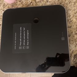 Body Weight