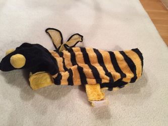 Dog bee costume med