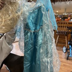 Elsa From Frozen Halloween Costume