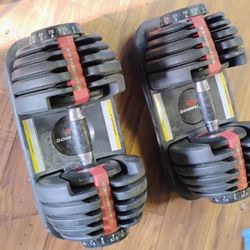 Adjustable Dumbbells