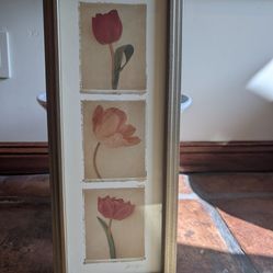 Framed Tulip Triptych Print