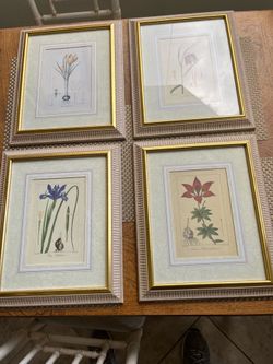 Vintage floral prints