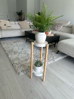 2-Tier Plant Stand / Indoor Plant Holder — $25 OBO