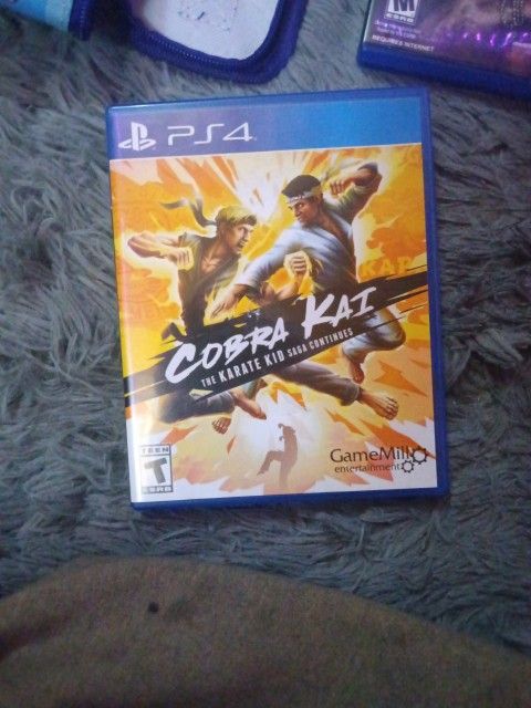 Cobra Kai Ps4