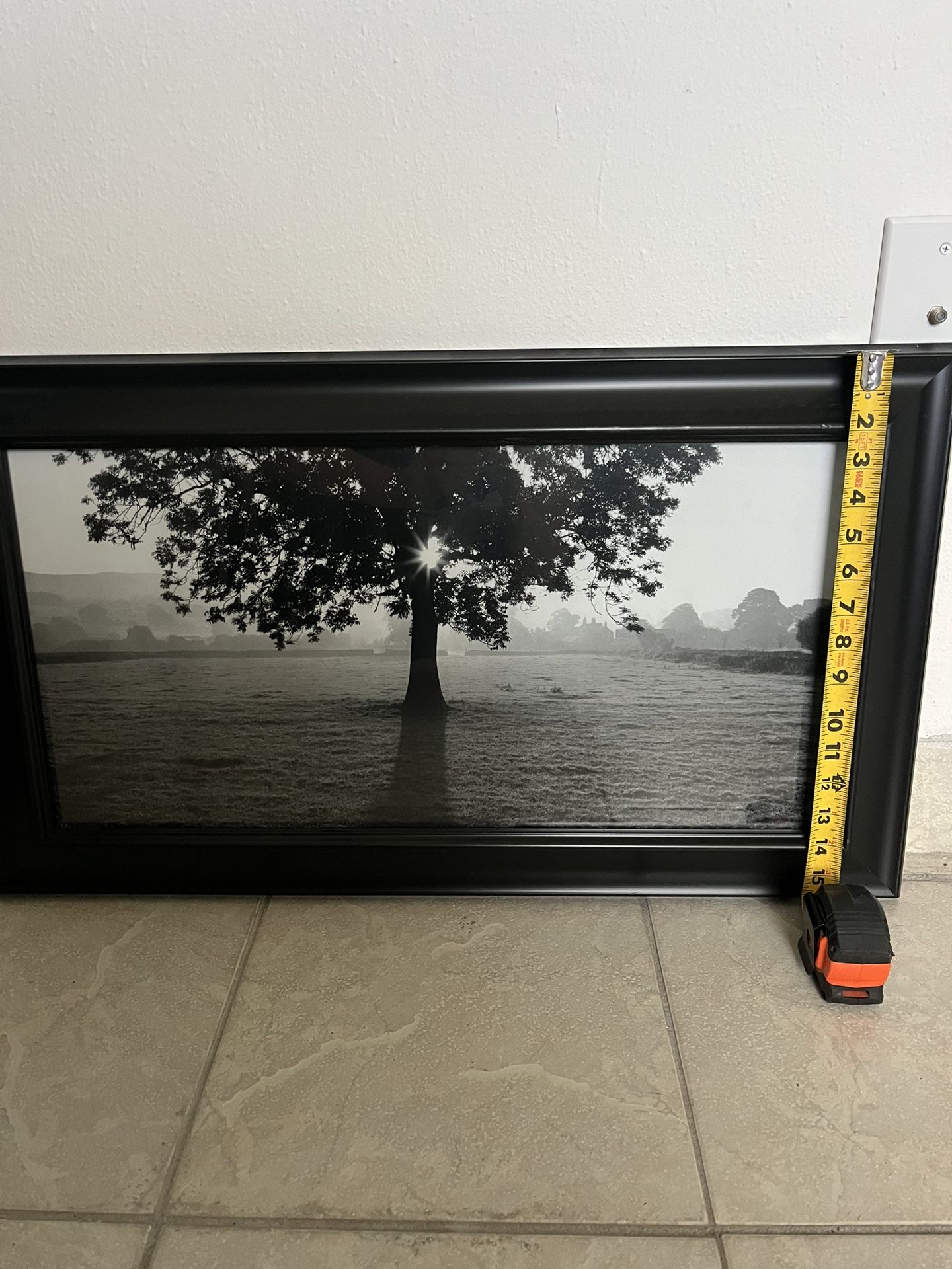 Picture