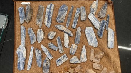 Large Natural Blue Kyanite Rough Crystal Lot – 30+ Pieces