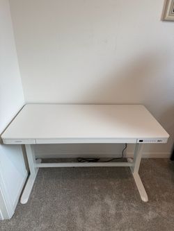 Flexispot White Electric Standing Desk